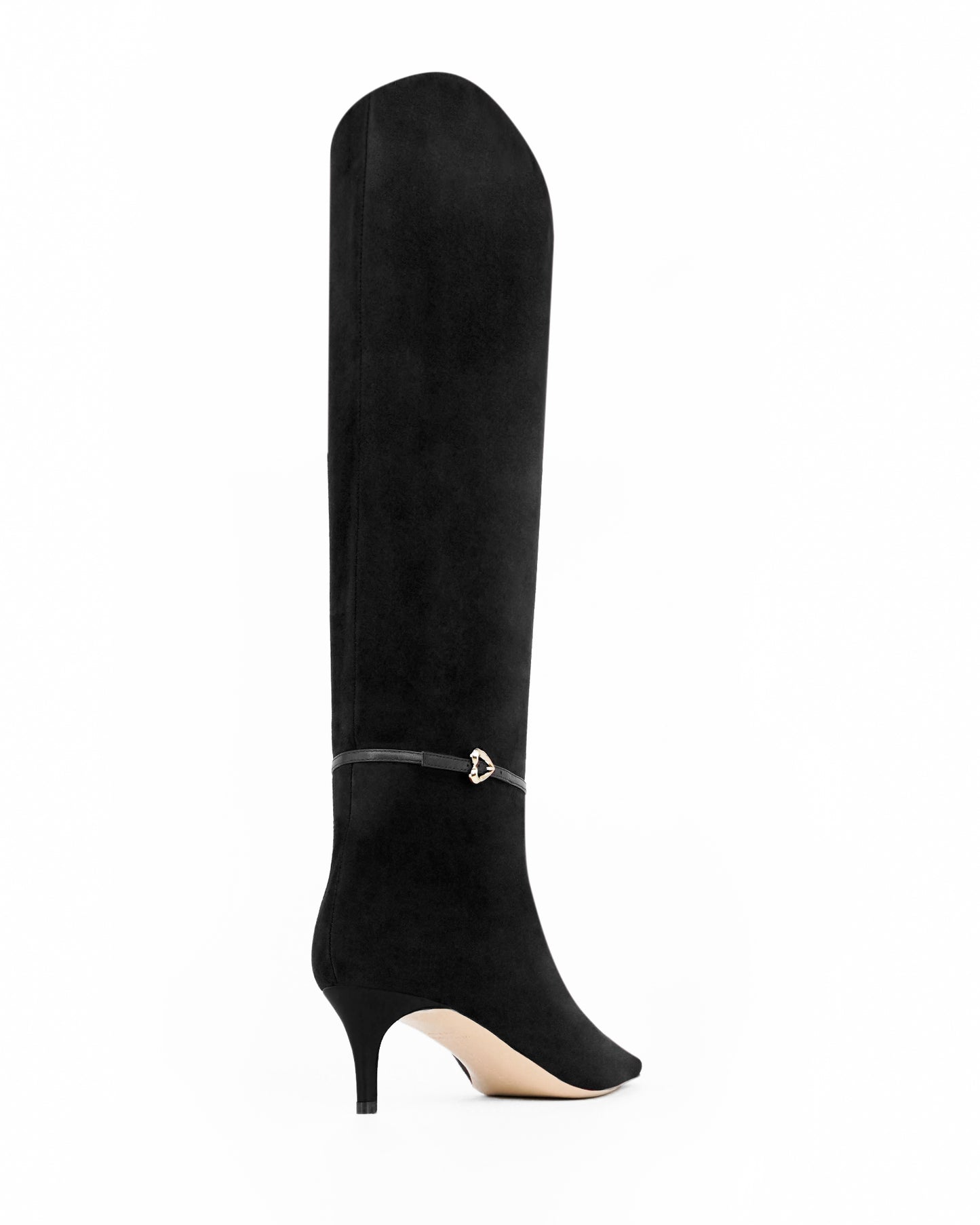 LAILA SUEDE BOOTS 55