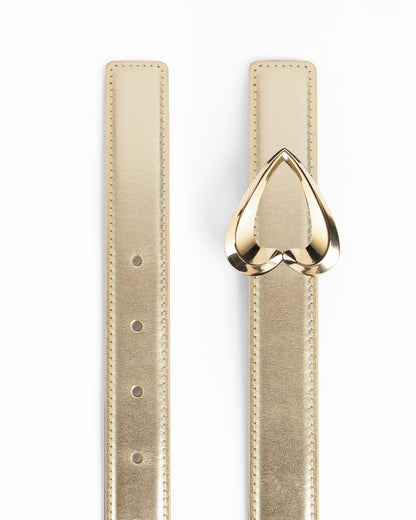 Reversible Belt