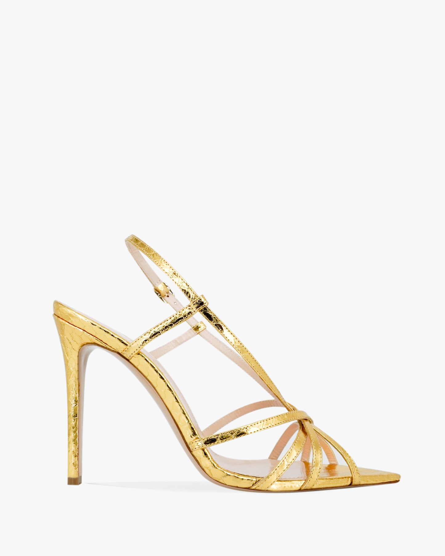 MARYLIN WATERSNAKE 105