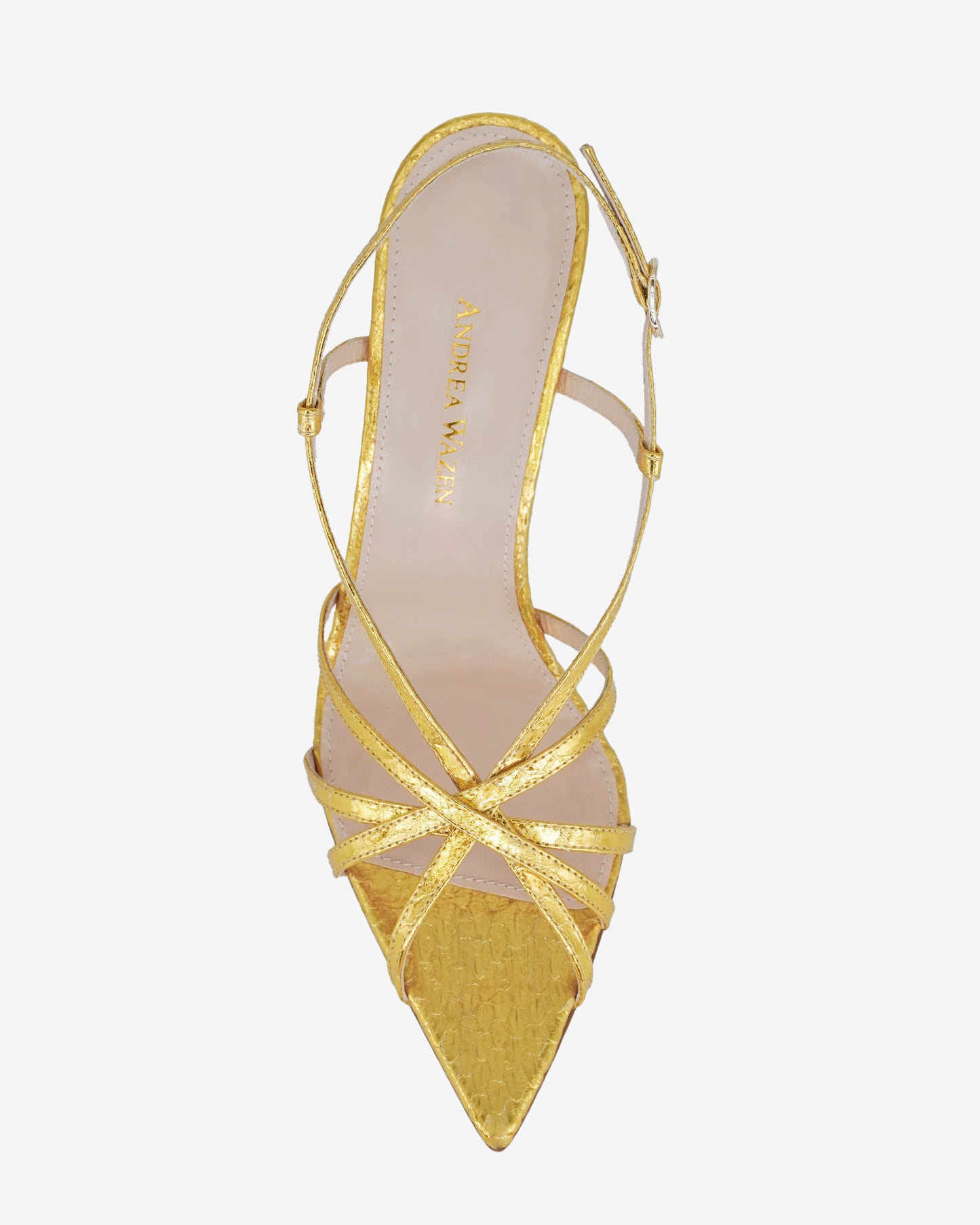 MARILYN WATERSNAKE 105